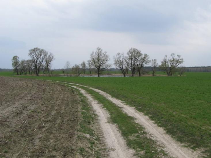 Шабалинів з panoramio.com - Shabalyniv