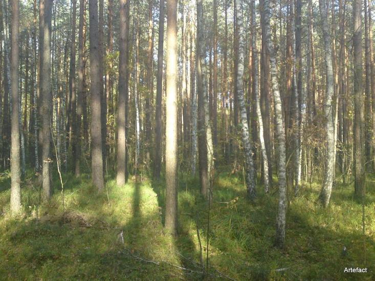 Замисловичі з panoramio.com - Замисловичі