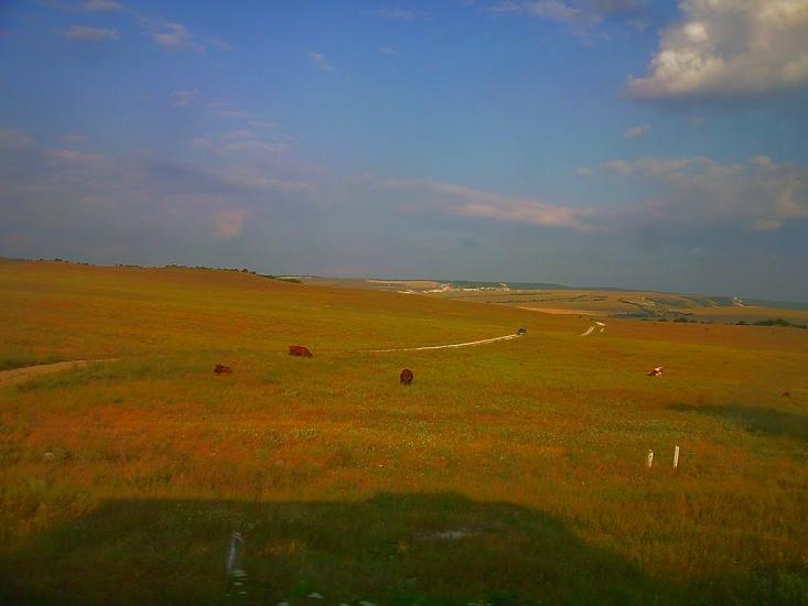 Сирень з panoramio.com - Сирень