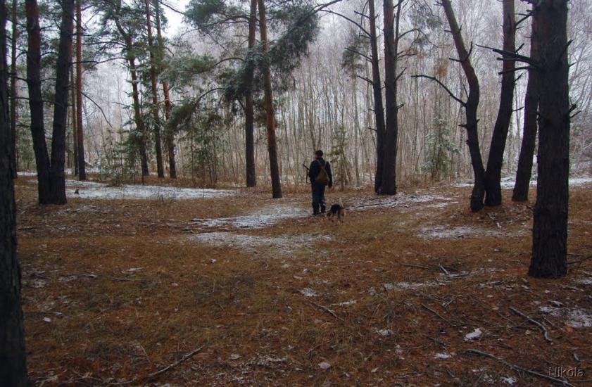 Воронове з panoramio.com - Воронове