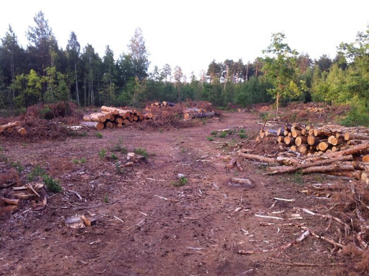 Савенки з panoramio.com - Савенки