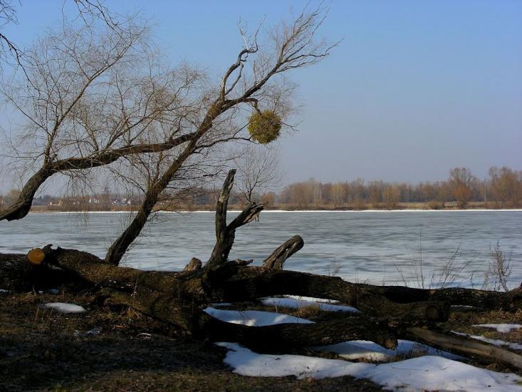 Осещина з panoramio.com - Осещина