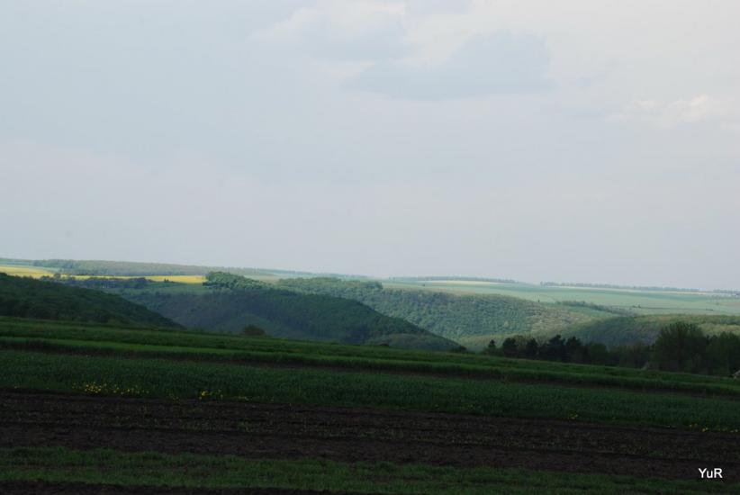 Новосілка з panoramio.com - Новосілка