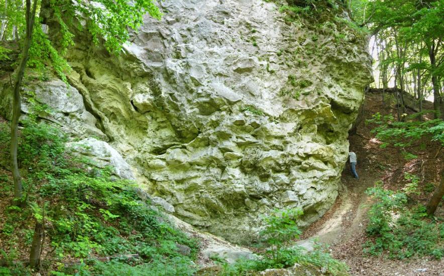 Винники з panoramio.com - Винники