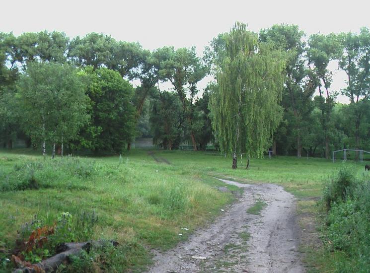 Онуфріївка з panoramio.com - Онуфріївка