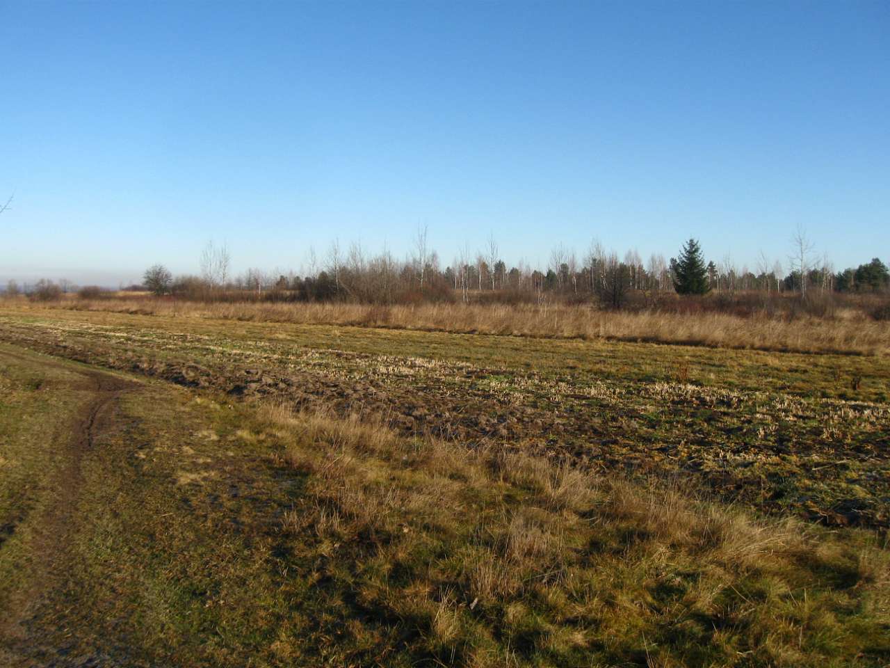 РОПЛЄНКЕ - Небилів