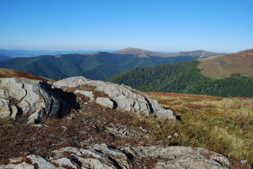 Вовчий з panoramio.com - Волчий