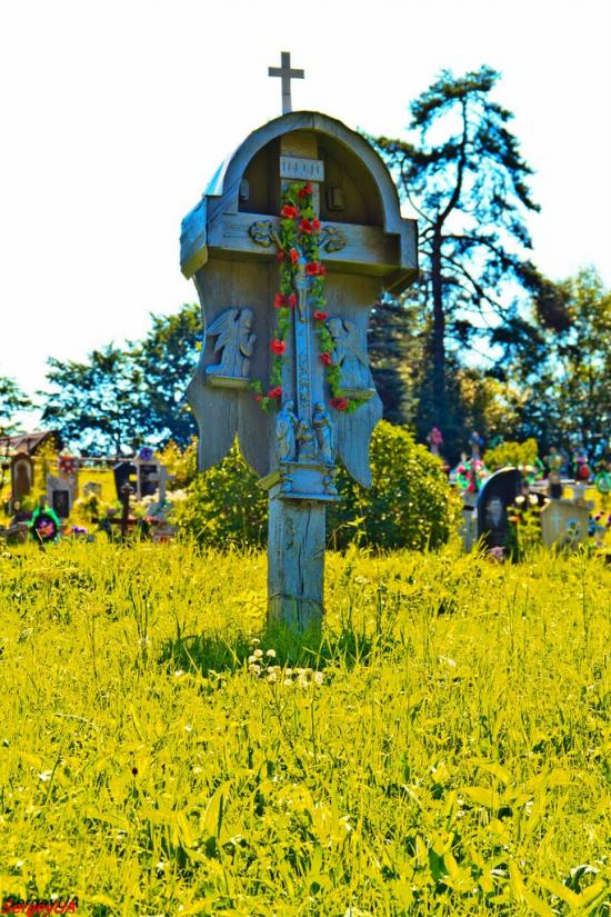 Вороненко з panoramio.com - Вороненко