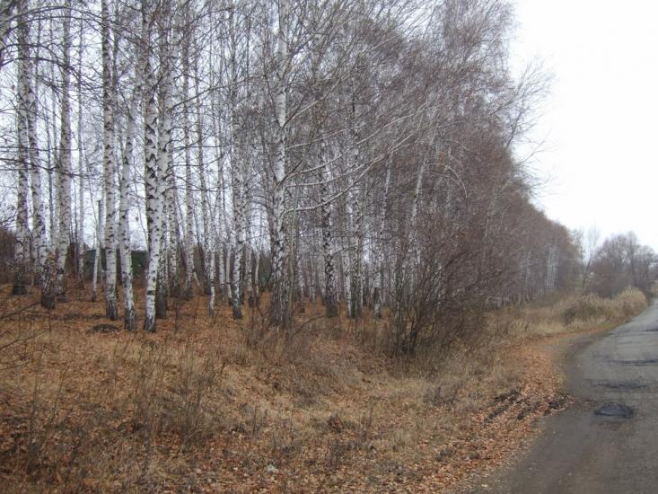 Бобрівка з panoramio.com - Бобровка