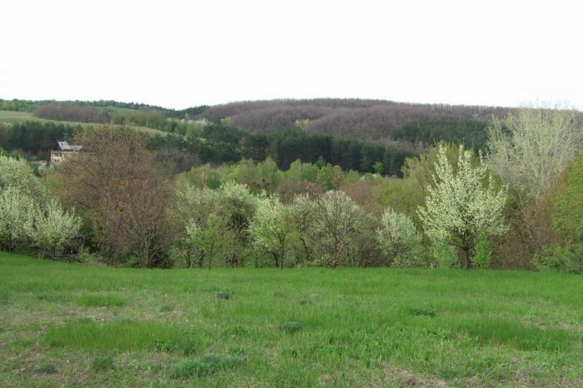Балико-Щучинка з panoramio.com - Балыко-Щучинка
