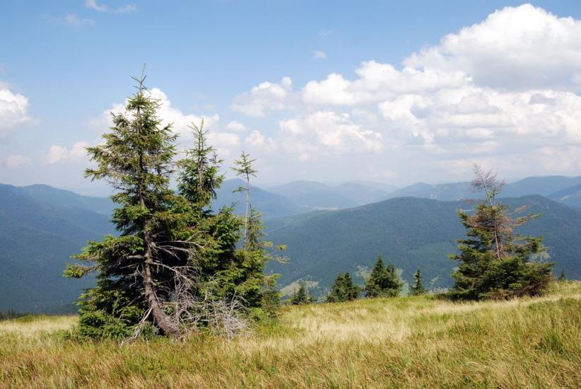 Заверхня Кичера з panoramio.com - Заверхняя Кичера