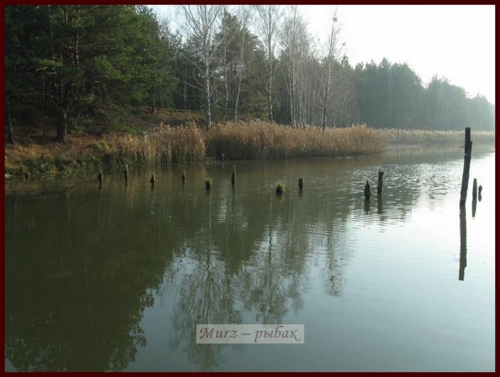 Ровжі з panoramio.com - Ровжи