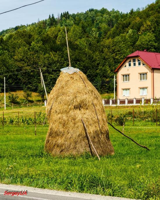 Поляна з panoramio.com - Поляна