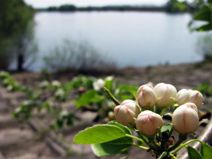 Журавка з panoramio.com - Журавка