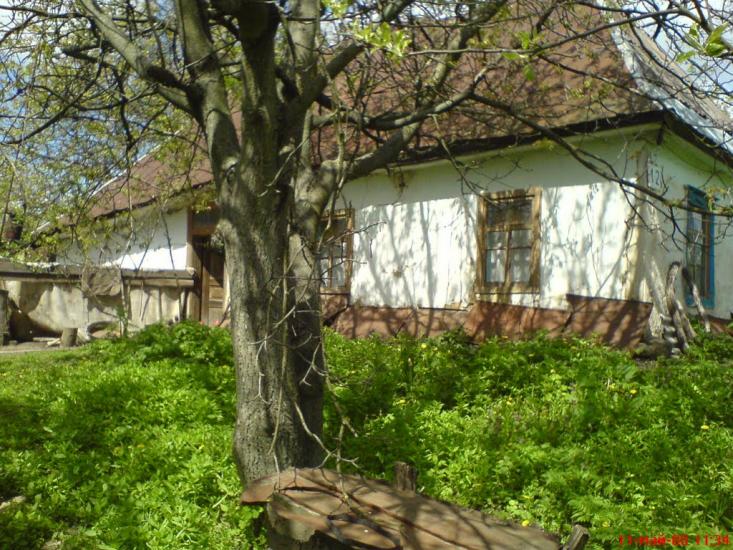 Козацьке з panoramio.com - Казацкое