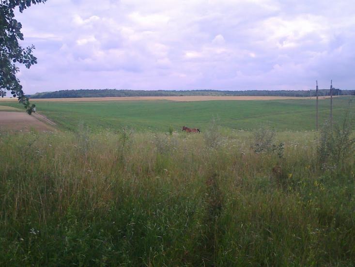 Сатиїв з panoramio.com - Satyyiv