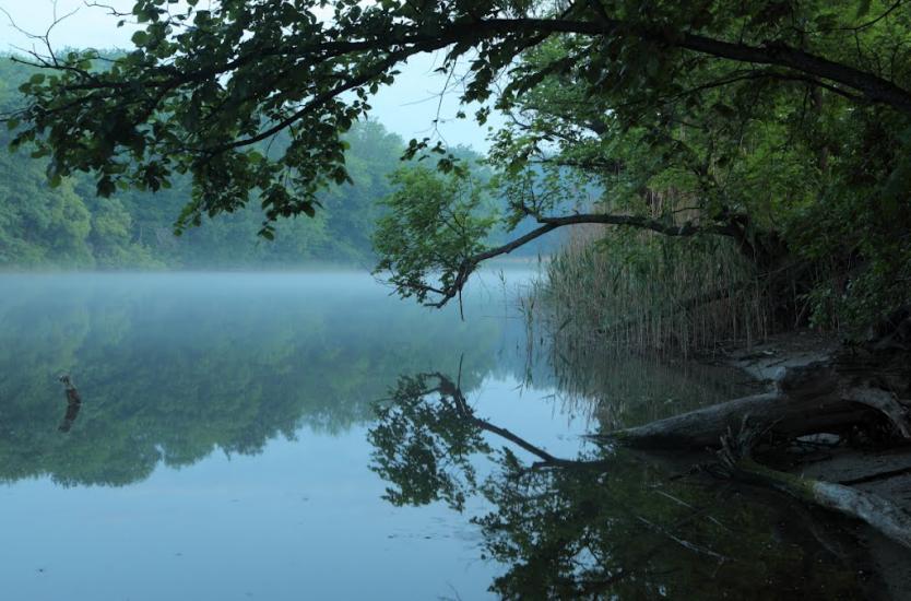 Коропове з panoramio.com - Коропово