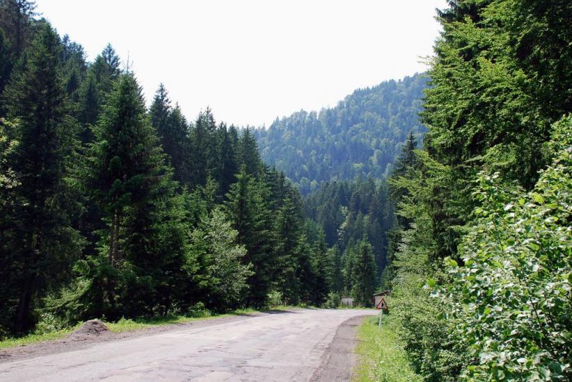 Стригальня з panoramio.com - Strygalnya