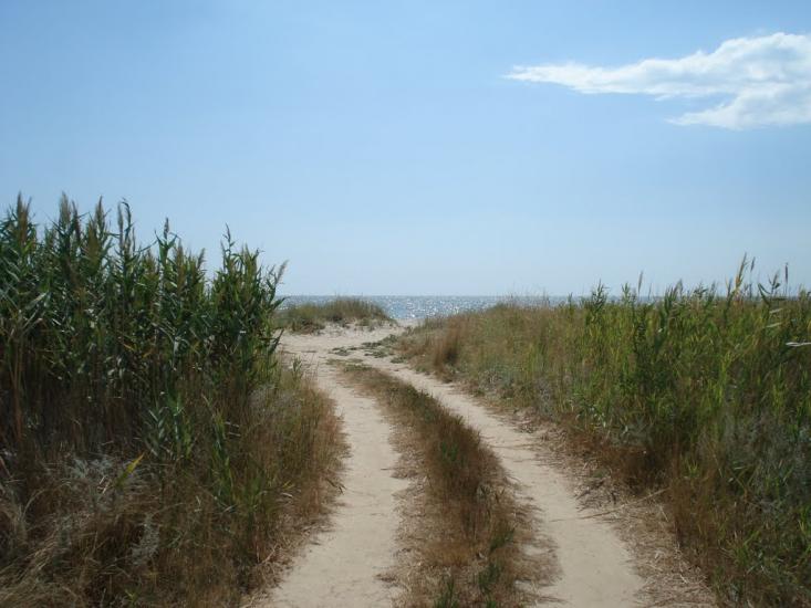 Степанівка Перша з panoramio.com - Степанівка Перша