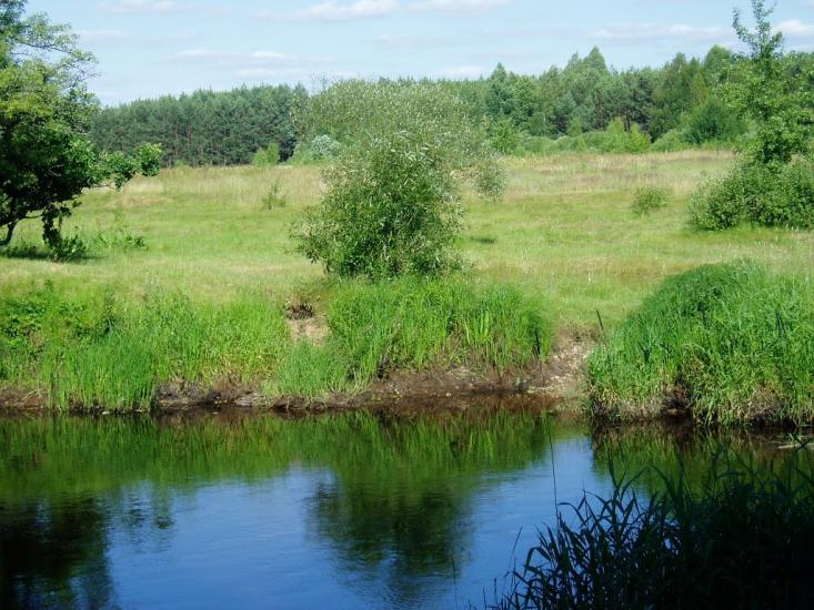 Ігнатпіль з panoramio.com - Игнатполь