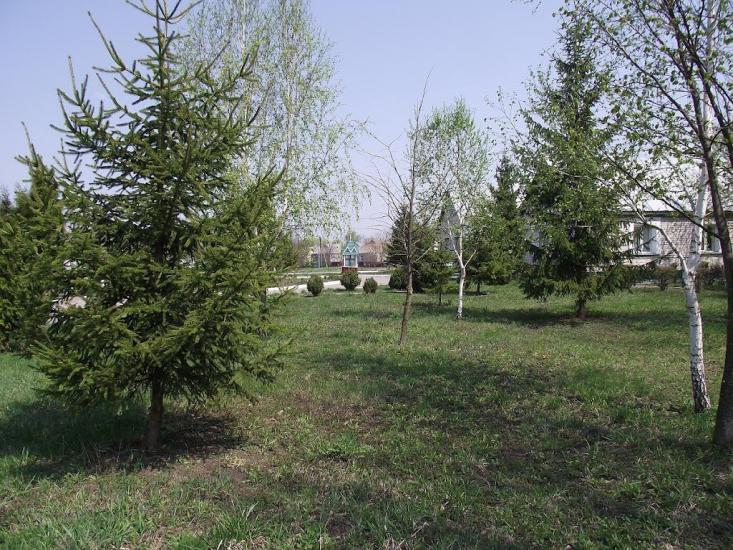 Розаліївка з panoramio.com - Розаліївка