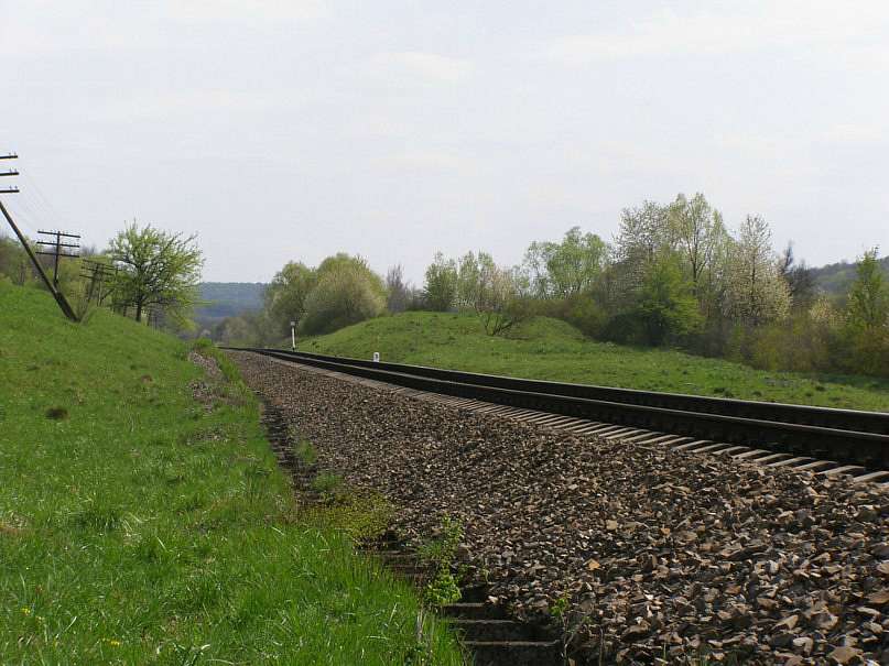 Червона Діброва - Червона Діброва