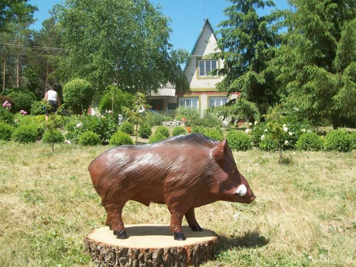 Кагарлик з panoramio.com - Кагарлик
