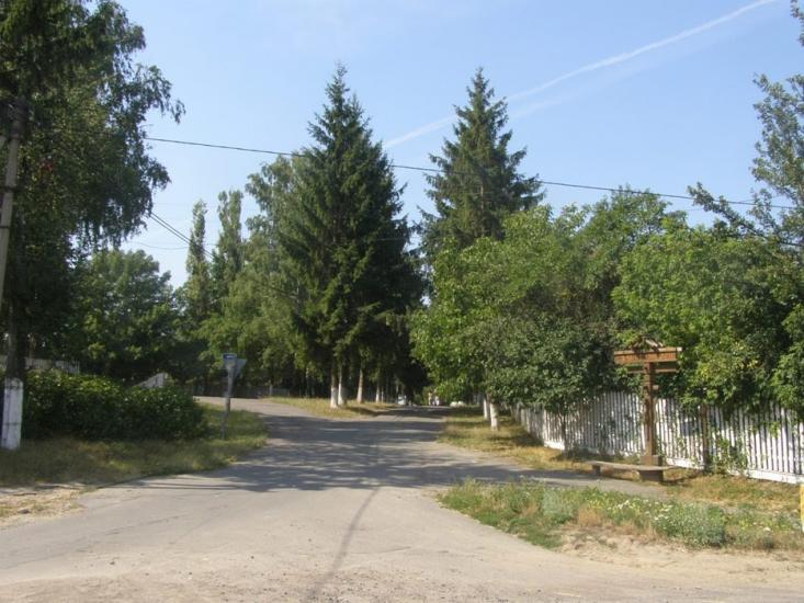 Моринці з panoramio.com - Moryntsi