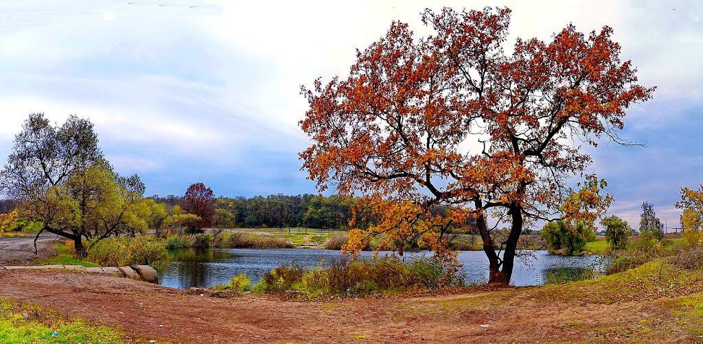 Каютине з panoramio.com - Kayutyne