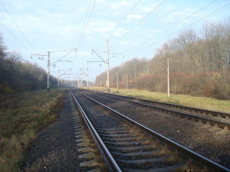 Кривачинці з panoramio.com - Кривачинцы