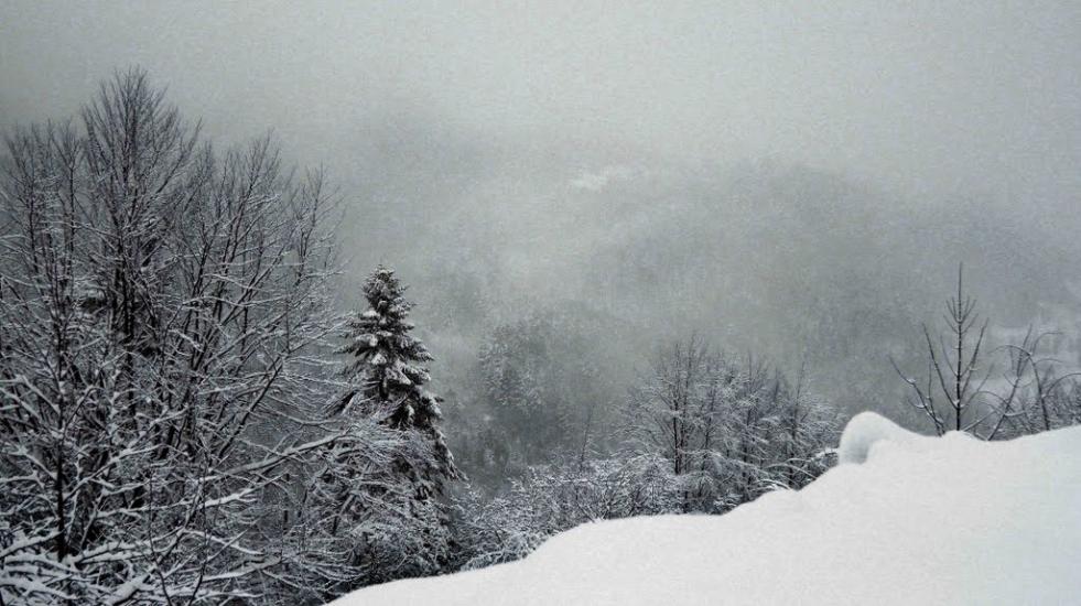 Сянки з panoramio.com - Сянки