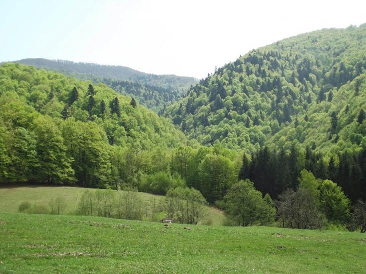 Кваси з panoramio.com - Квасы