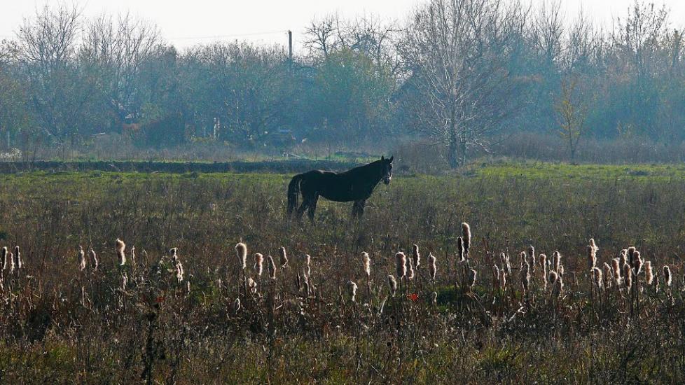 Піски з panoramio.com - Пески