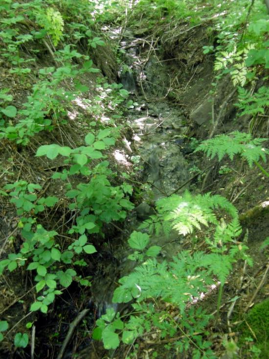 Андріївка з panoramio.com - Андріївка