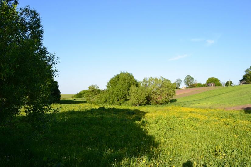 Меленці з panoramio.com - Меленці