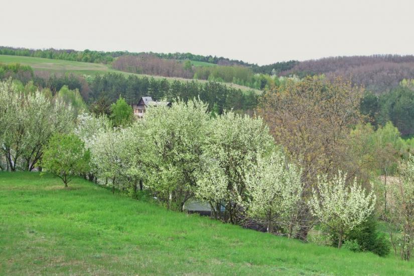 Балико-Щучинка з panoramio.com - Балыко-Щучинка