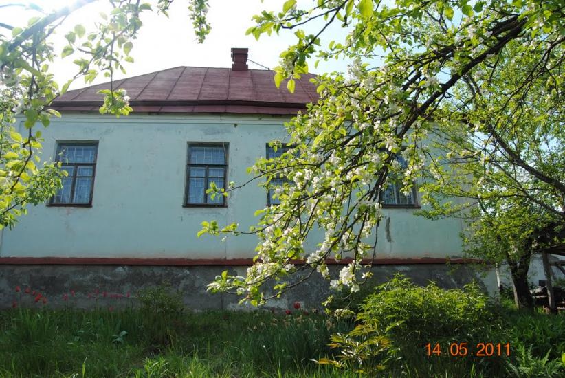 Огірцеве з panoramio.com - Огірцеве