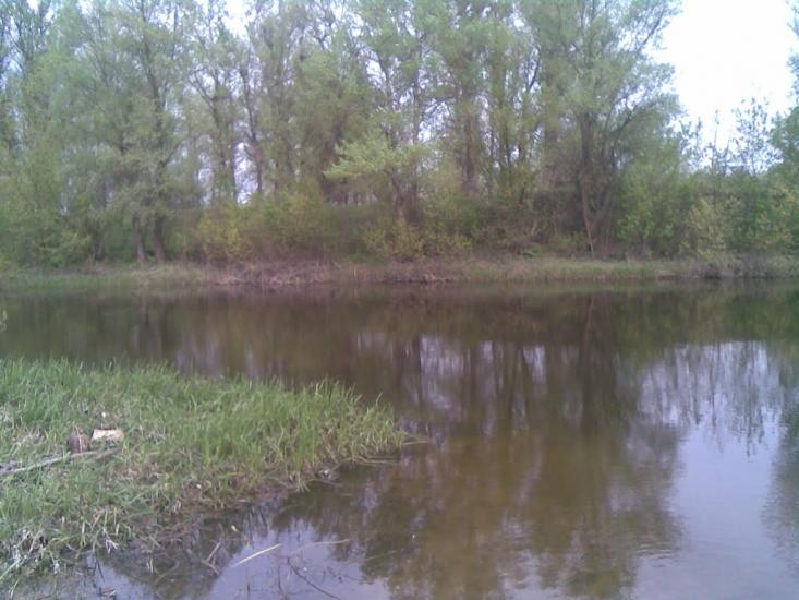 Білики з panoramio.com - Білики