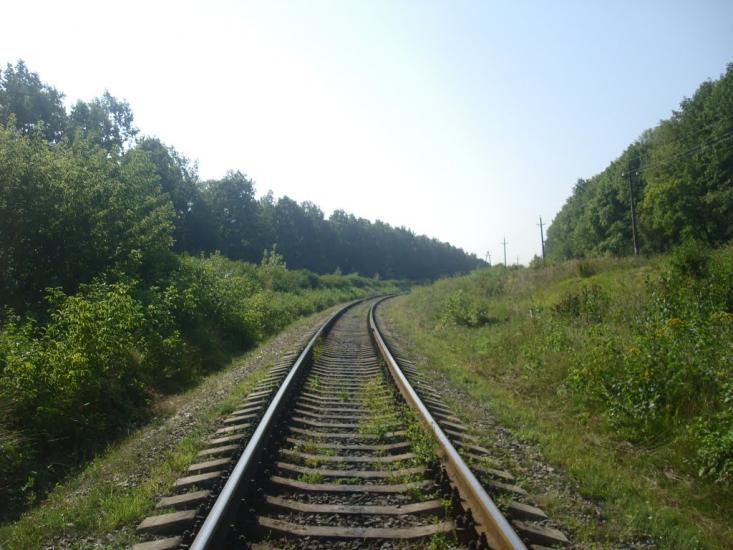 Панівці з panoramio.com - Panivtsi