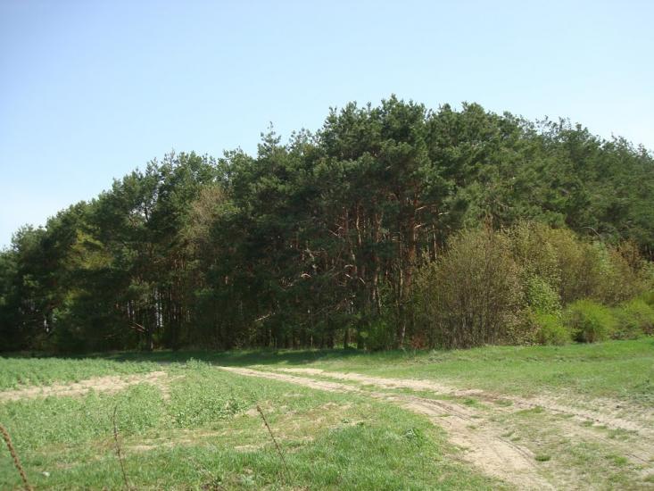 Вівчицьк з panoramio.com - Вовчицк