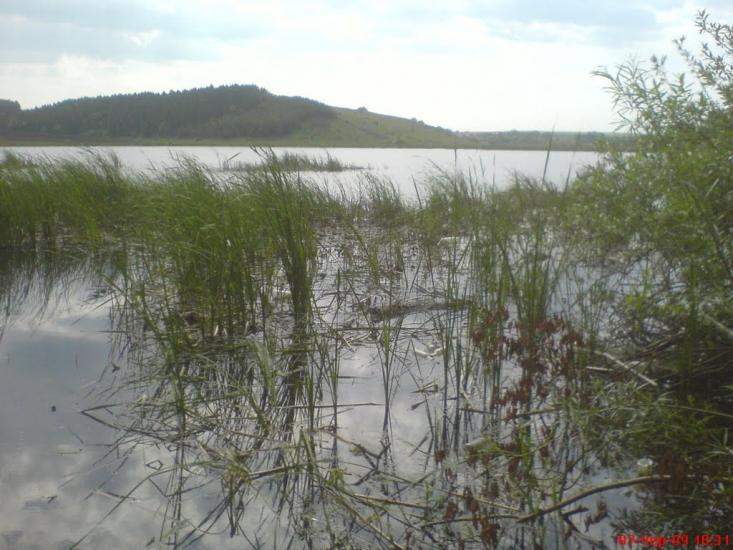 Молотків з panoramio.com - Молотков