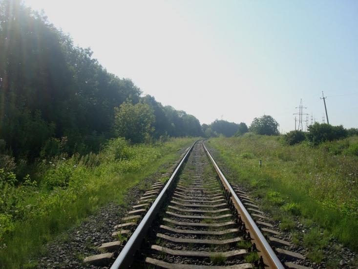 Панівці з panoramio.com - Панівці