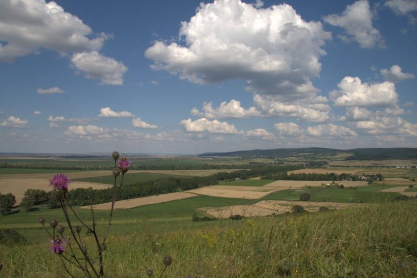 Шопки з panoramio.com - Шопки