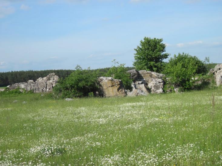 Поляни з panoramio.com - Поляны