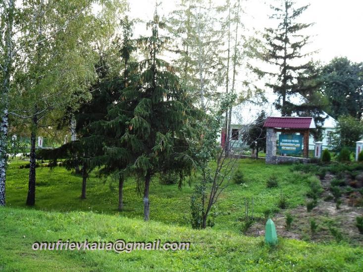 Онуфріївка з panoramio.com - Онуфріївка