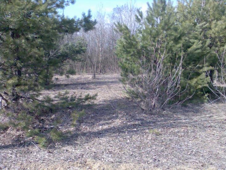 Баловне з panoramio.com - Баловне