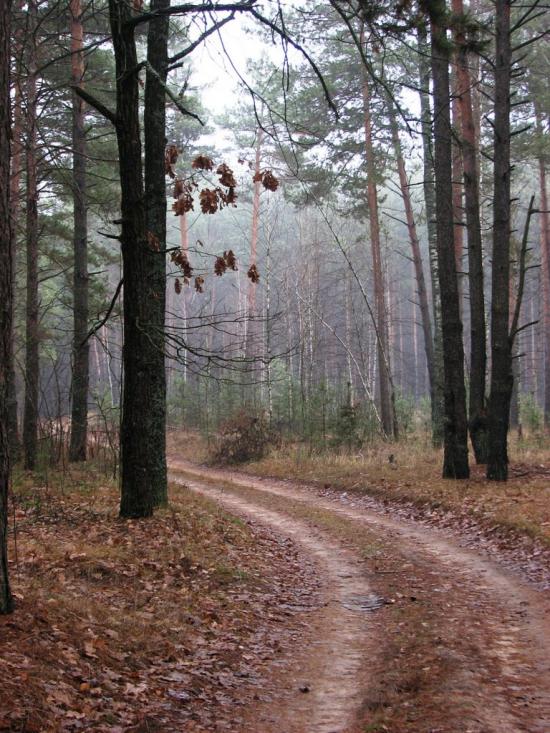 Червона Гута з panoramio.com - Червона Гута