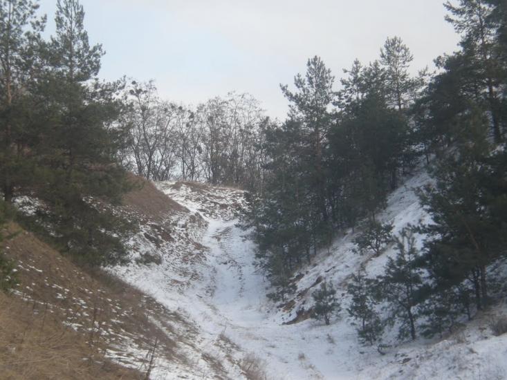 Великі Будища з panoramio.com - Великие Будища