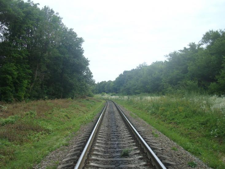 Гуменці з panoramio.com - Гуменцы