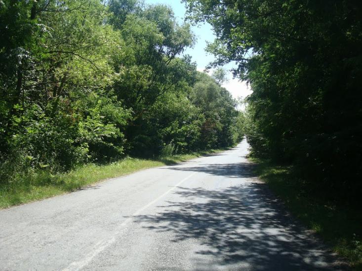 Баламутівка з panoramio.com - Баламутівка